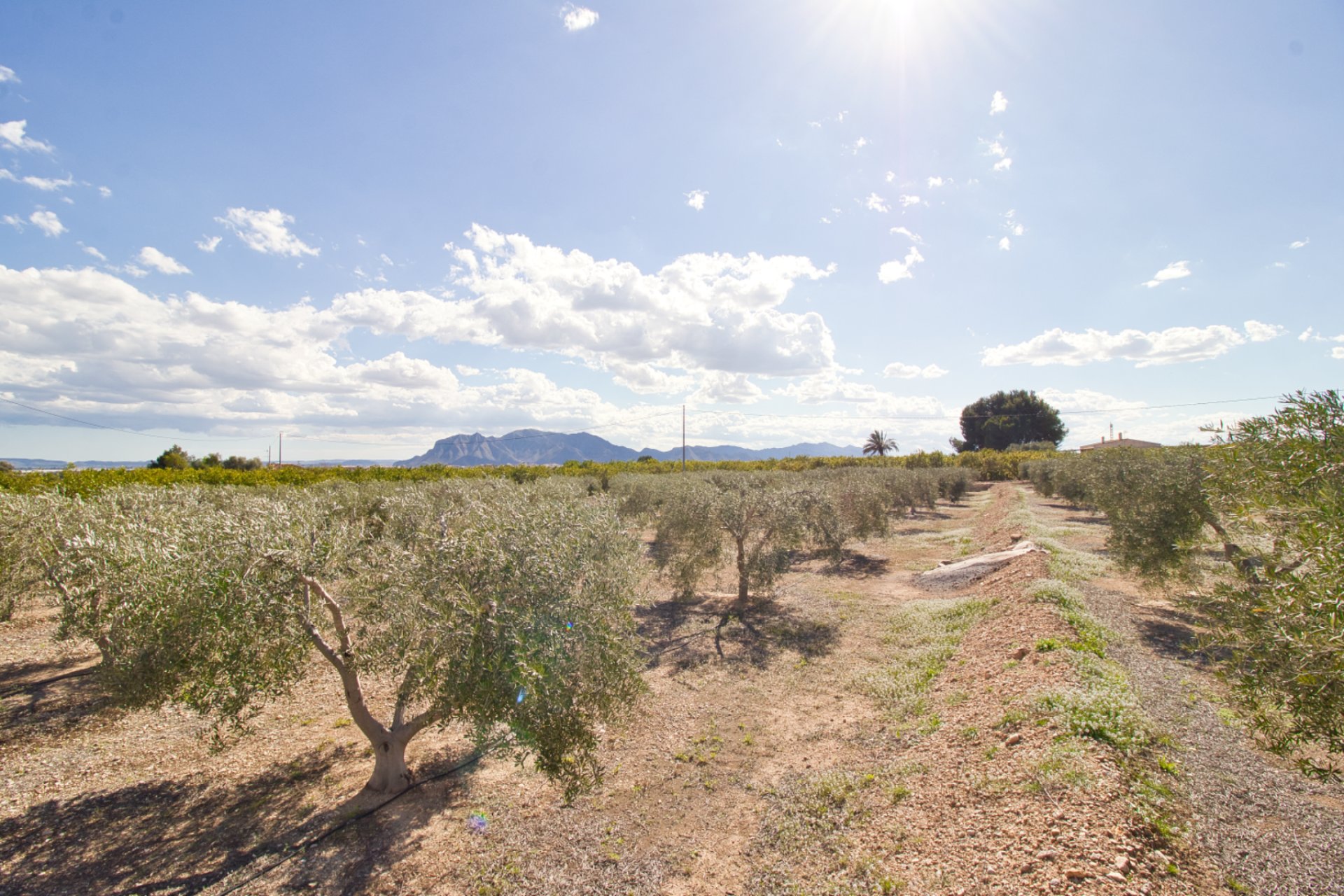Weiterverkauf - Country house -
Alicante
