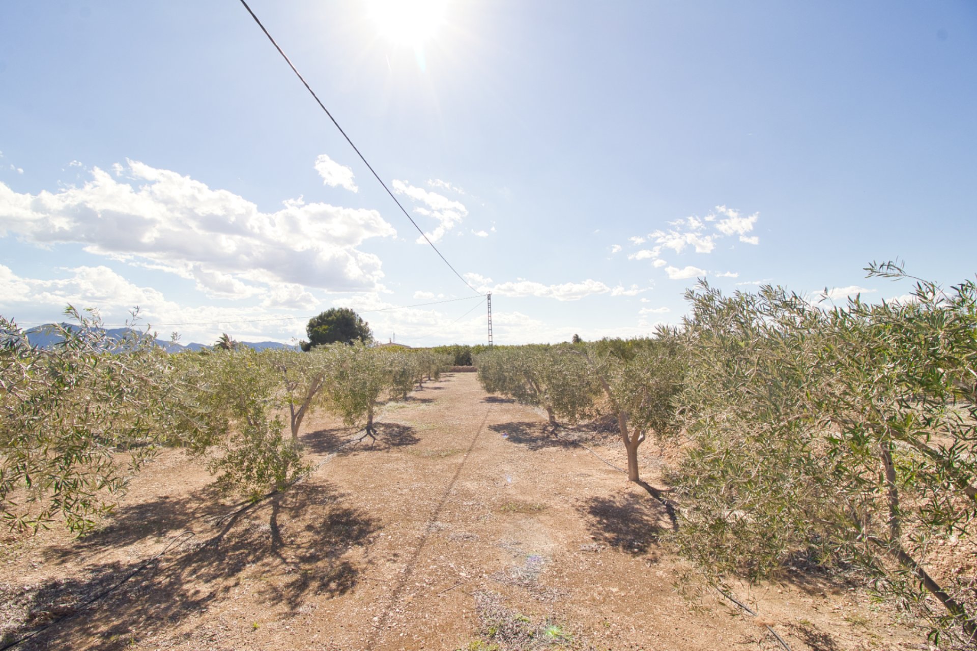 Weiterverkauf - Country house -
Alicante