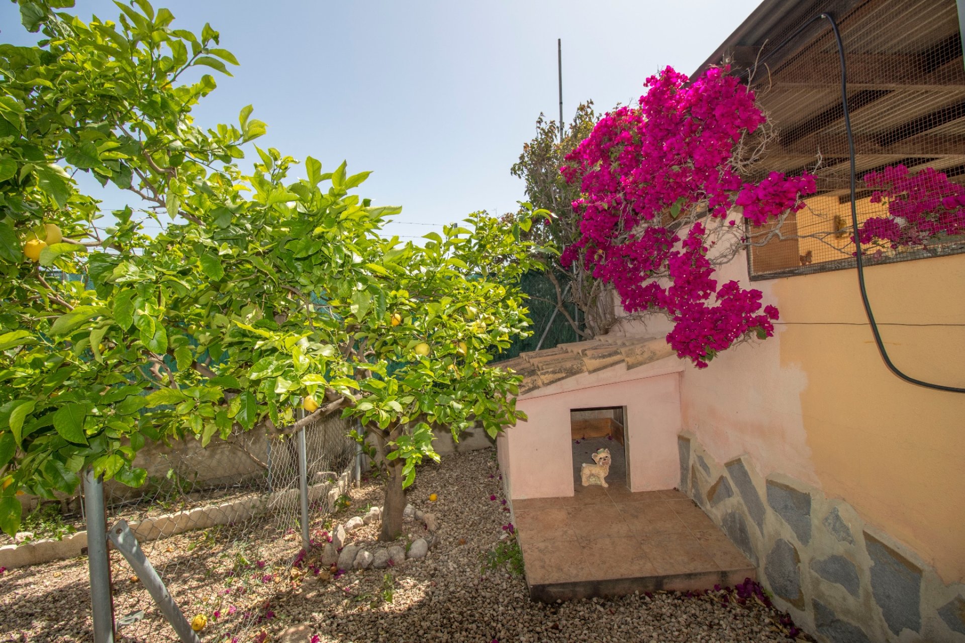 Weiterverkauf - Country house -
Alicante
