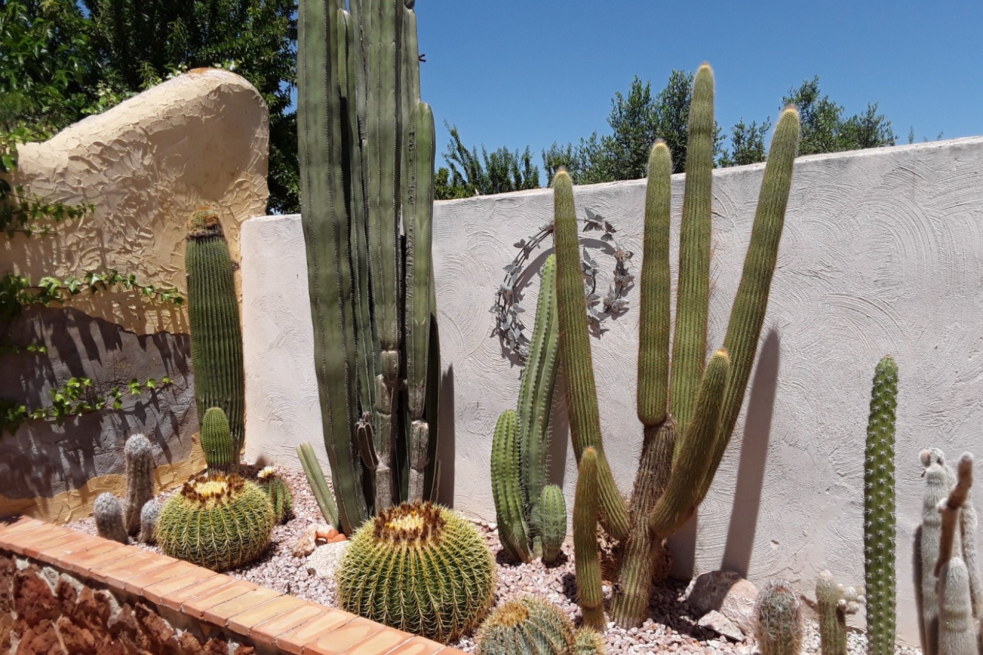 Weiterverkauf - Country house -
Alicante