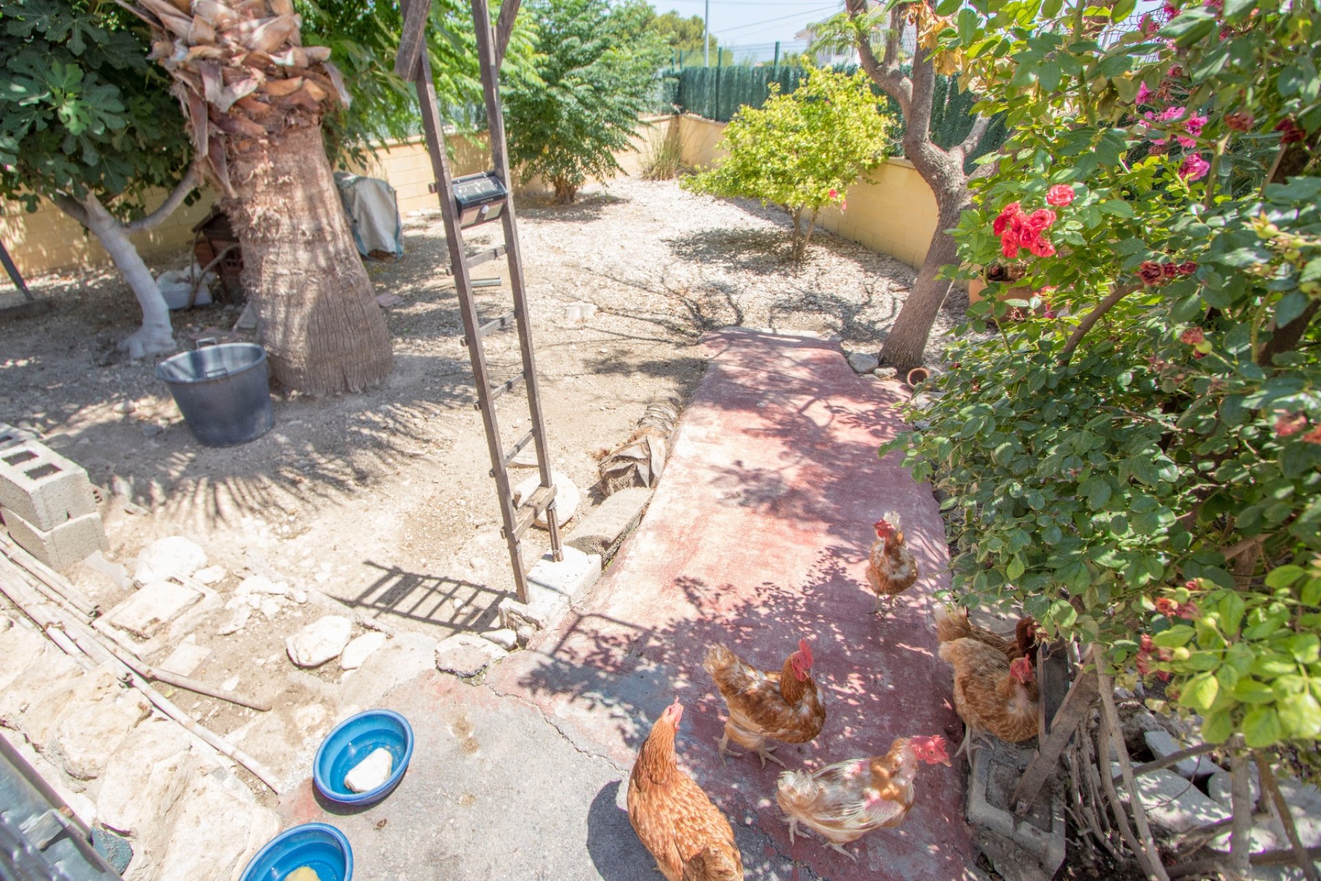 Weiterverkauf - Country house -
Alicante