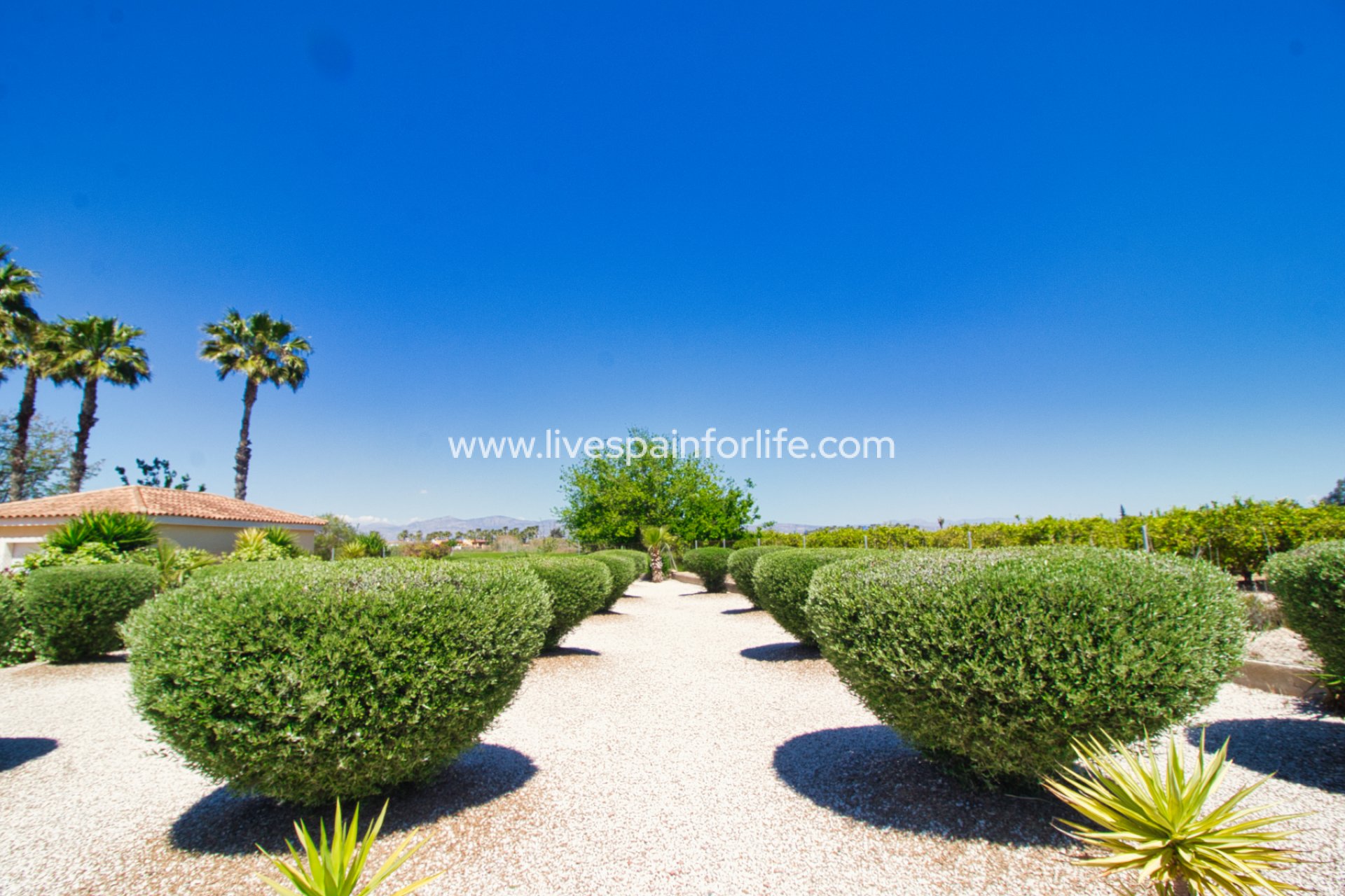 Weiterverkauf - Country house -
Alicante