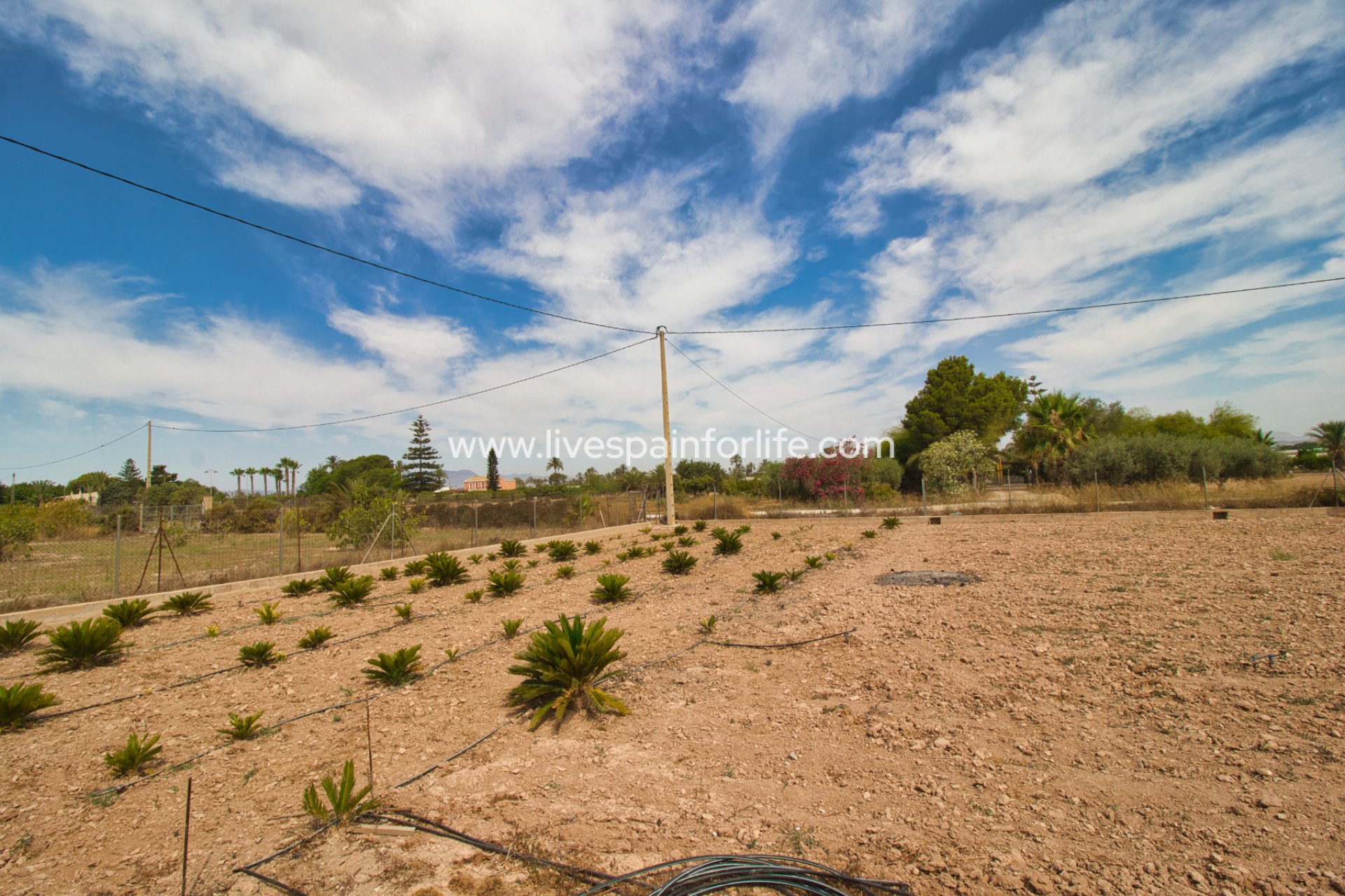Weiterverkauf - Country house -
Alicante