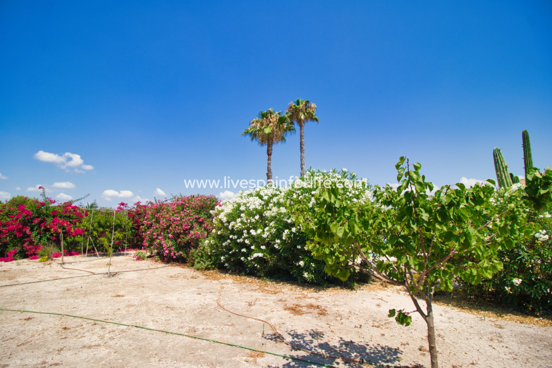 Weiterverkauf - Country house -
Catral