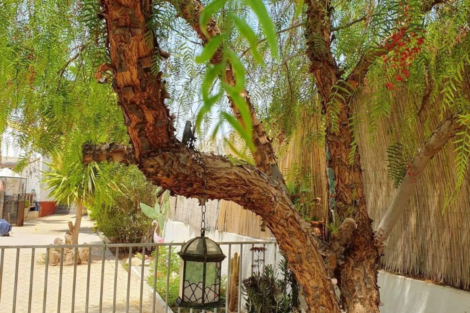 Weiterverkauf - Country house -
Catral