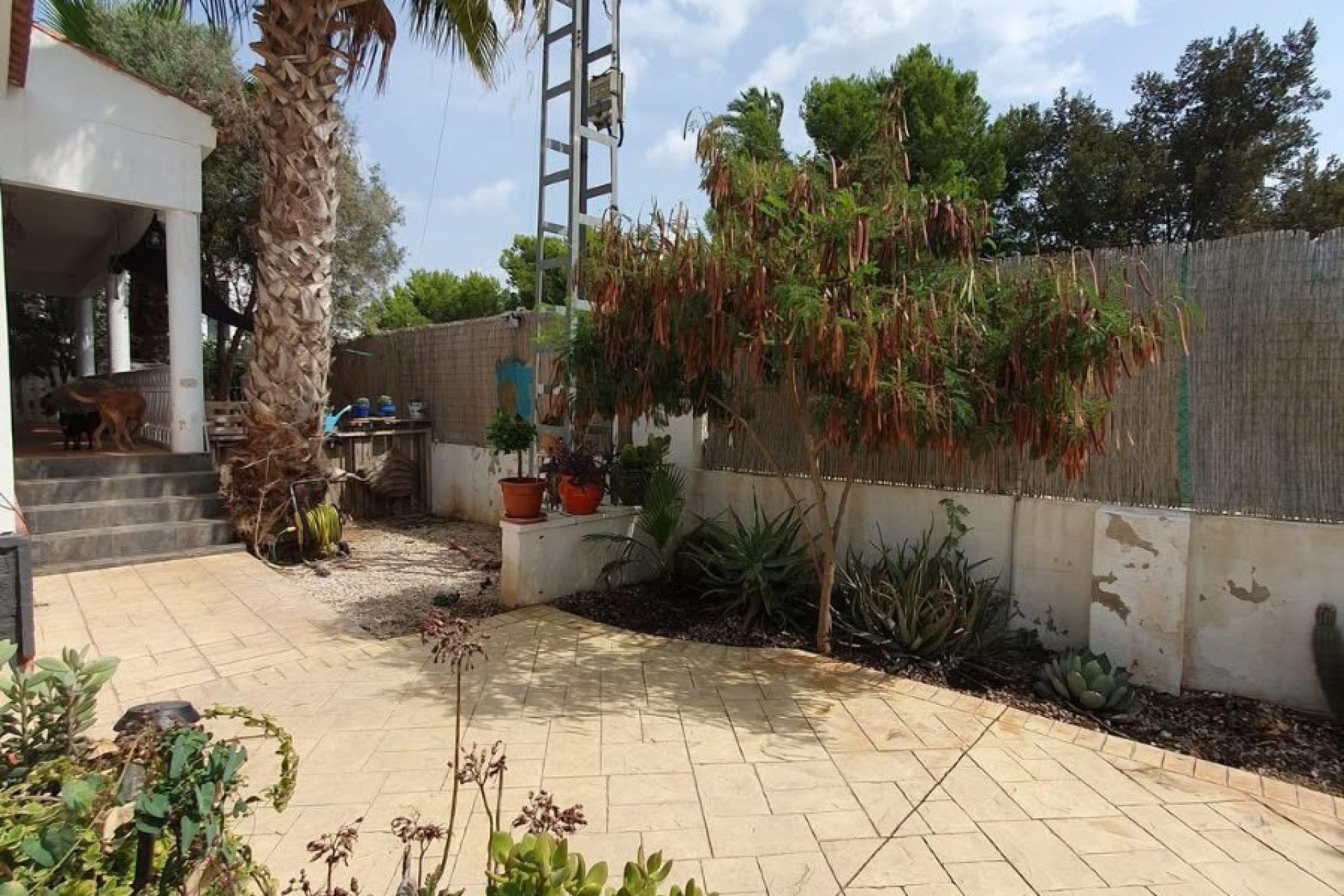 Weiterverkauf - Country house -
Catral