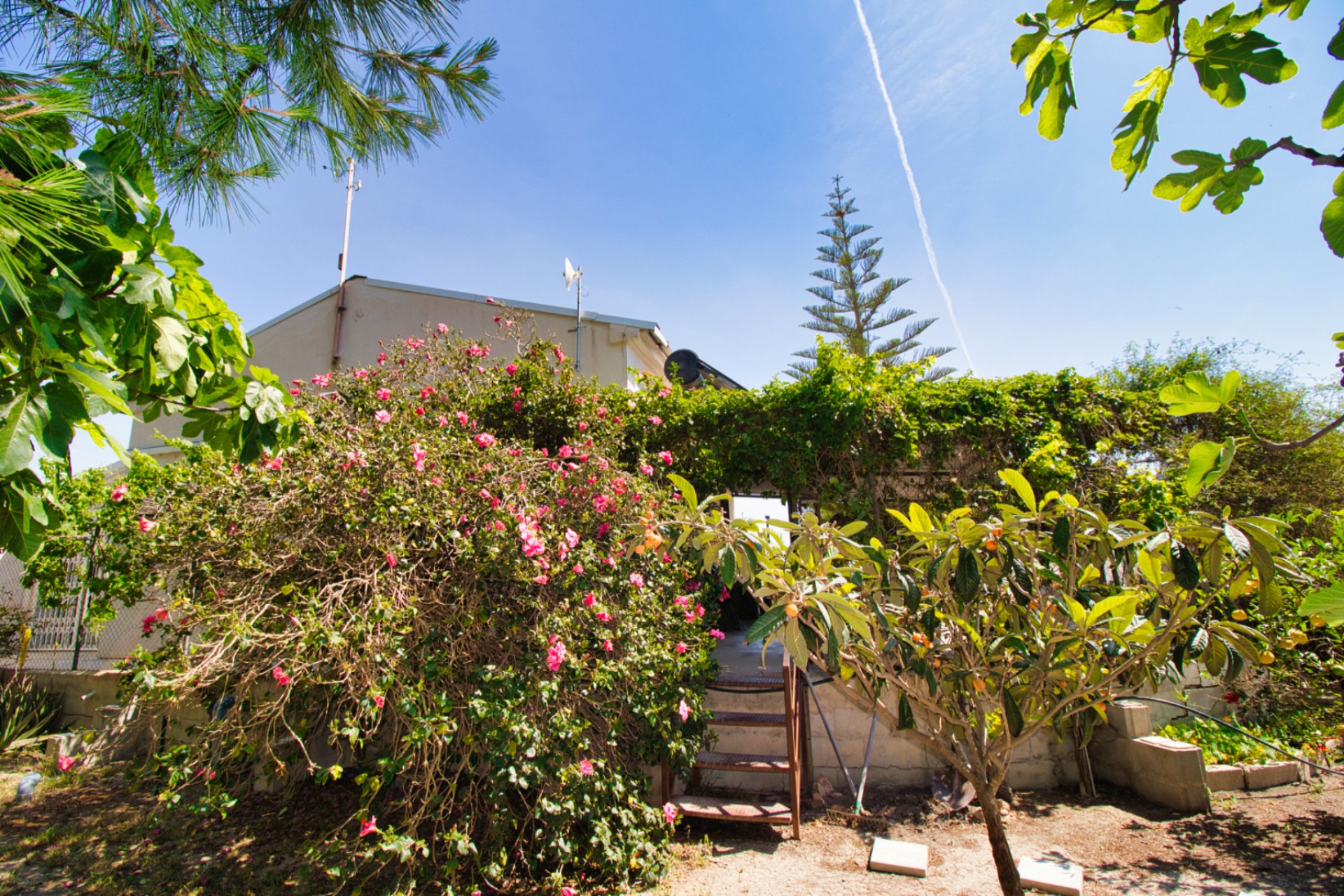 Weiterverkauf - Country house -
Dolores - 