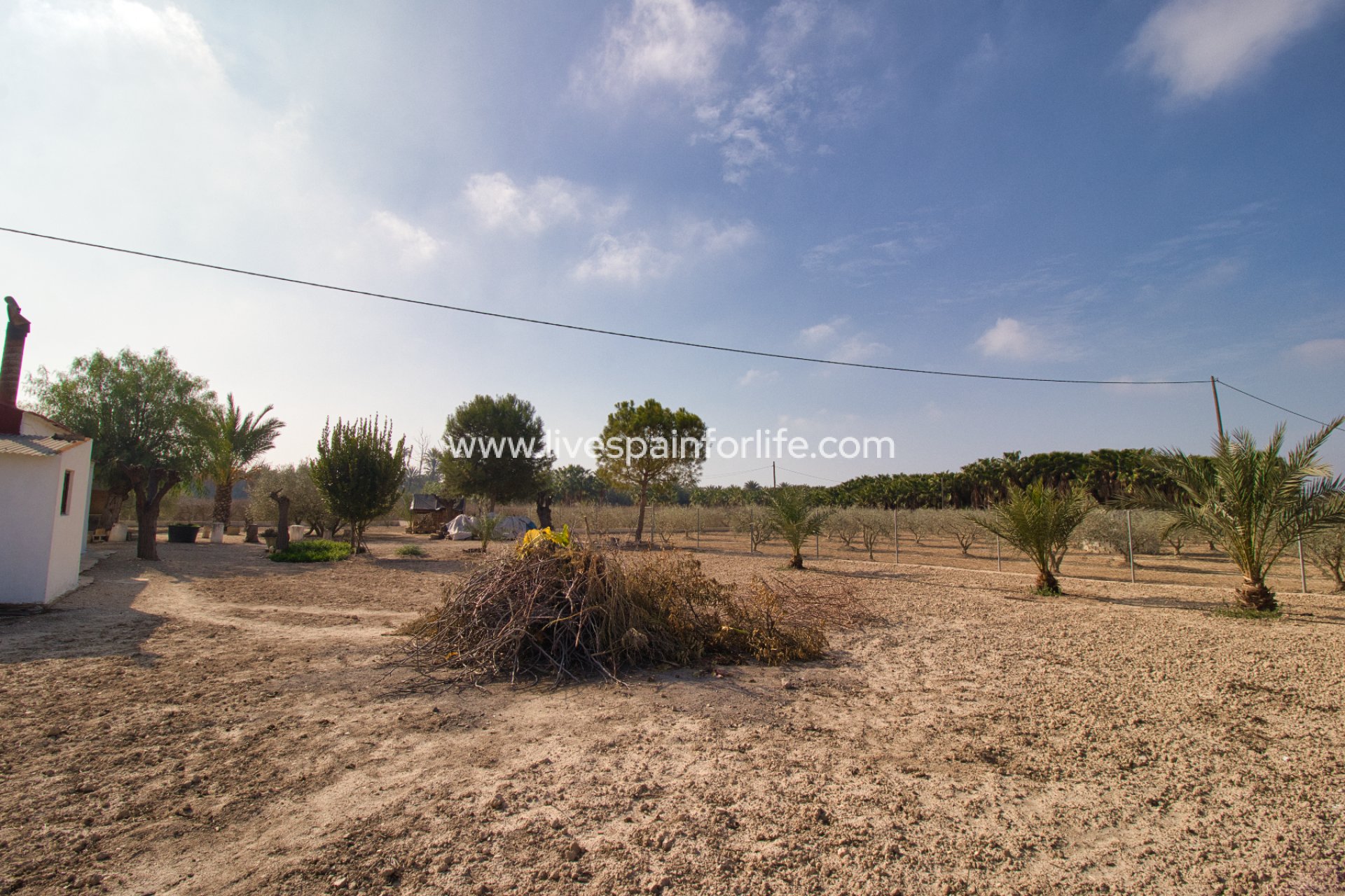 Weiterverkauf - Country house -
Elche