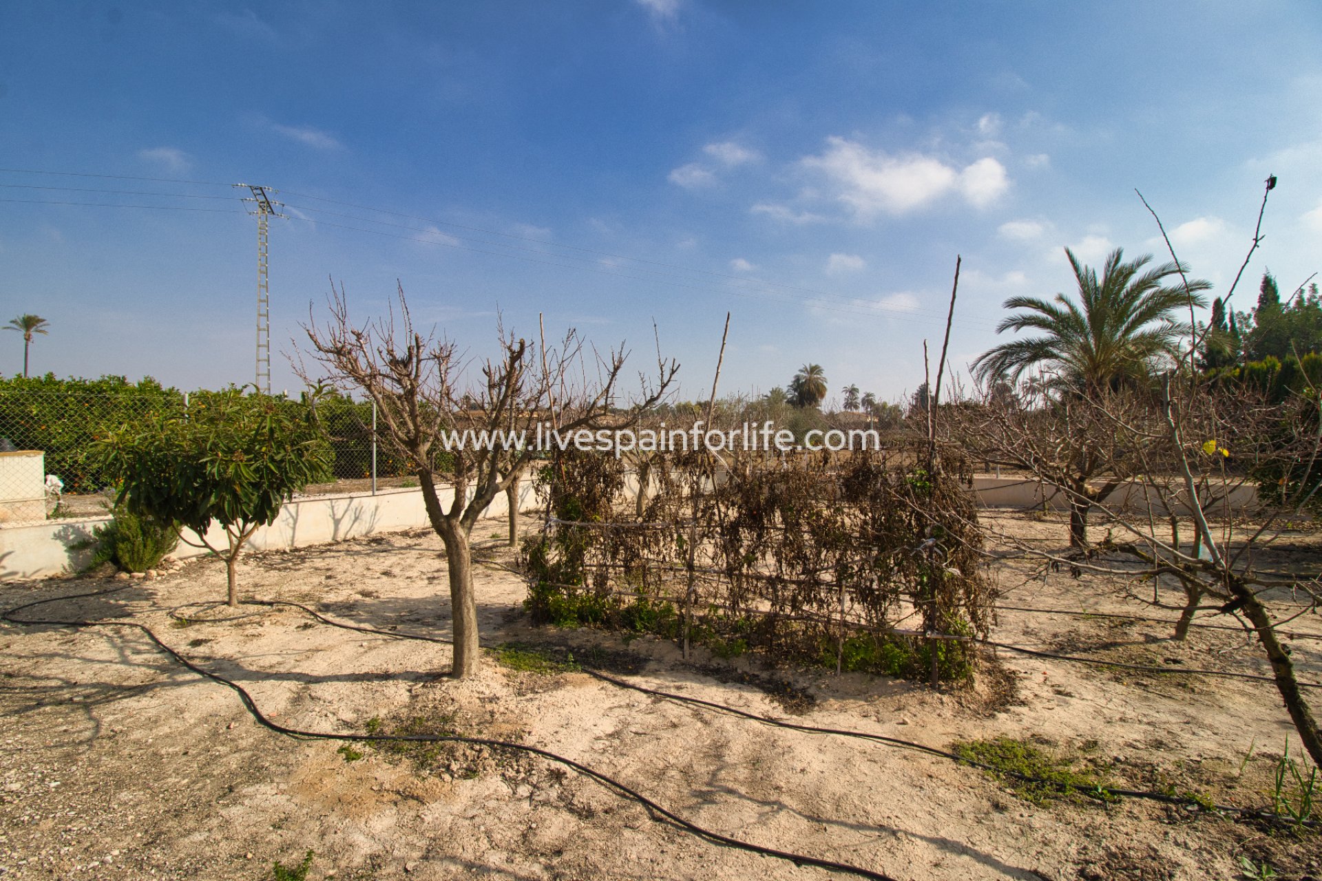 Weiterverkauf - Country house -
Elche