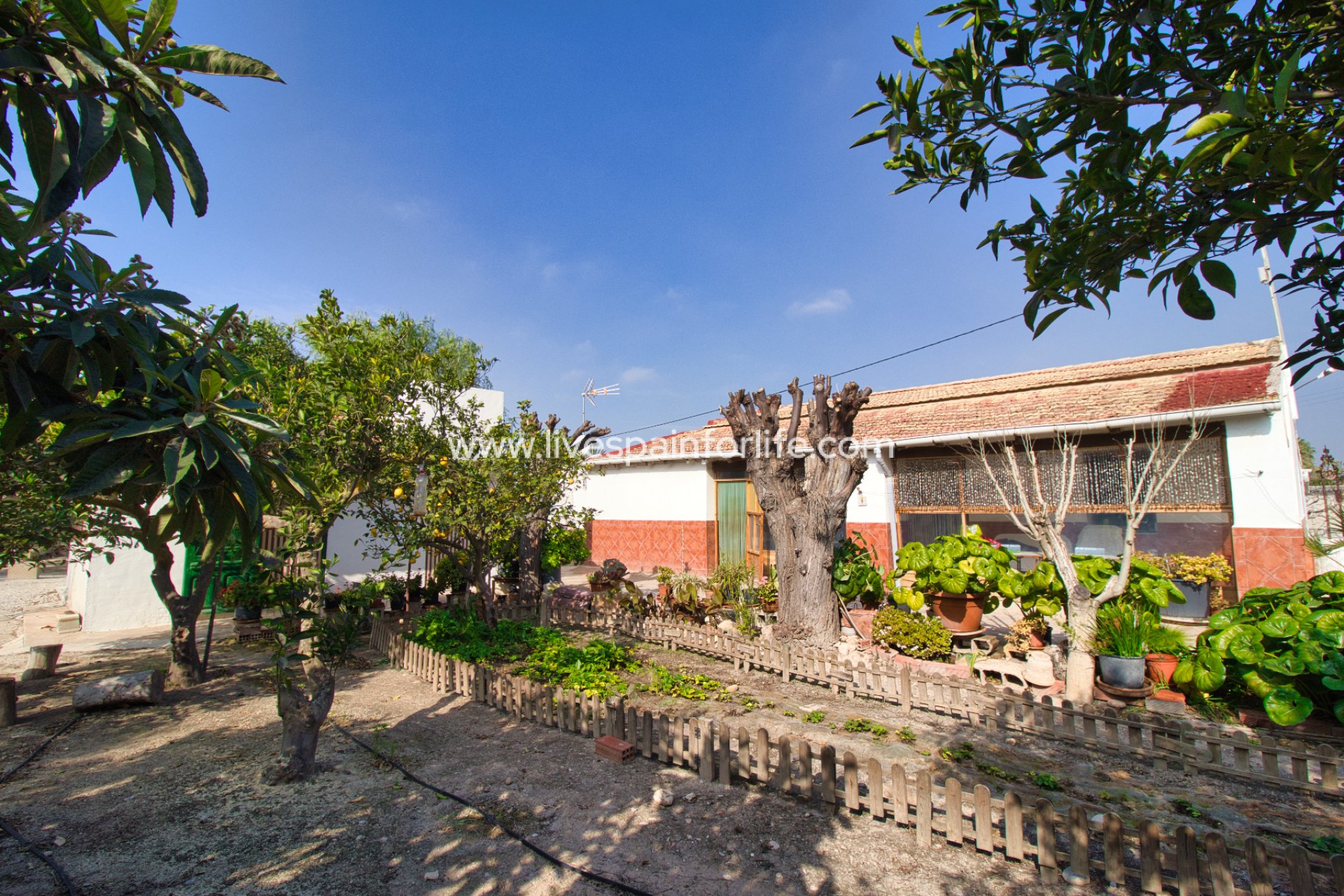 Weiterverkauf - Country house -
Elche