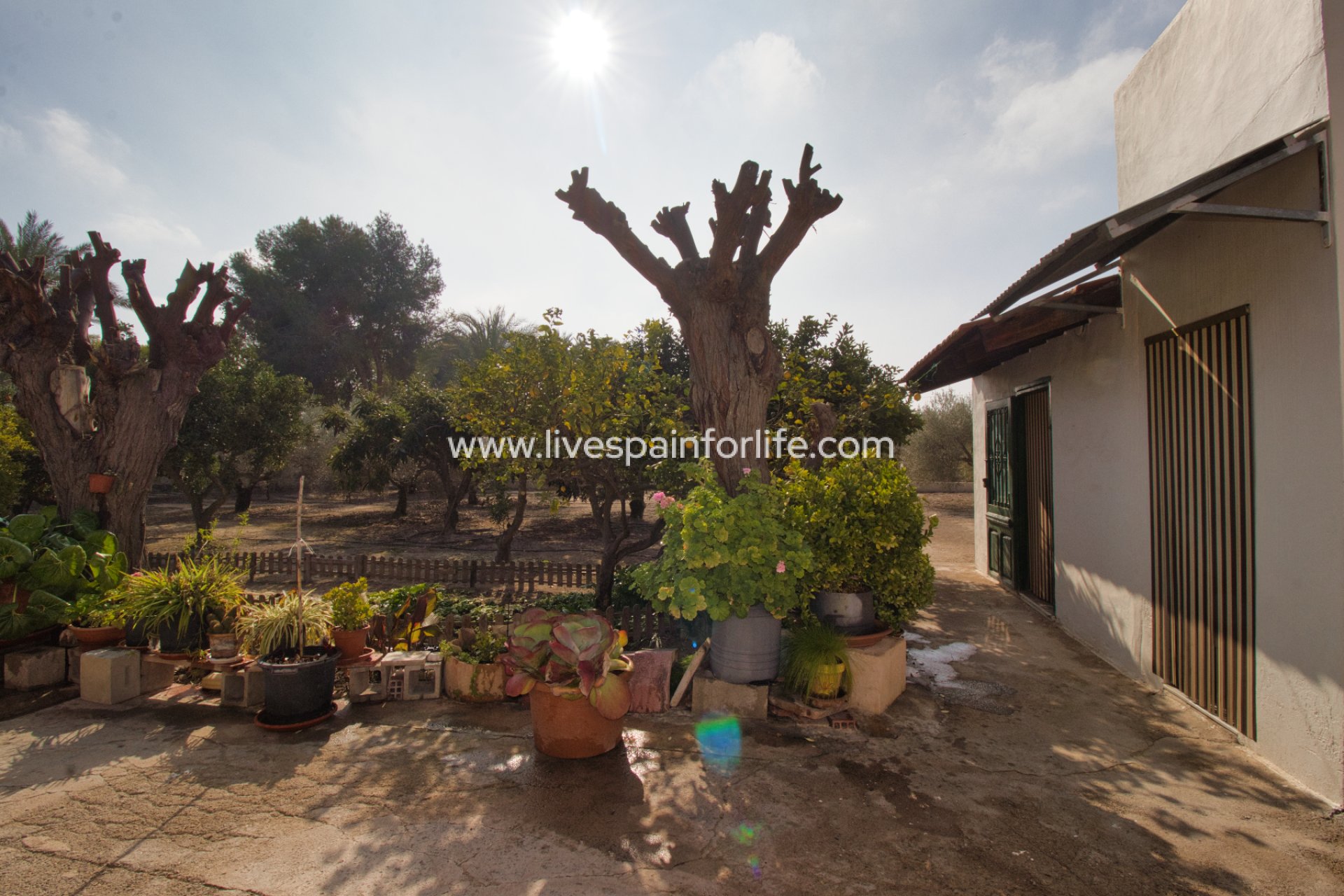 Weiterverkauf - Country house -
Elche