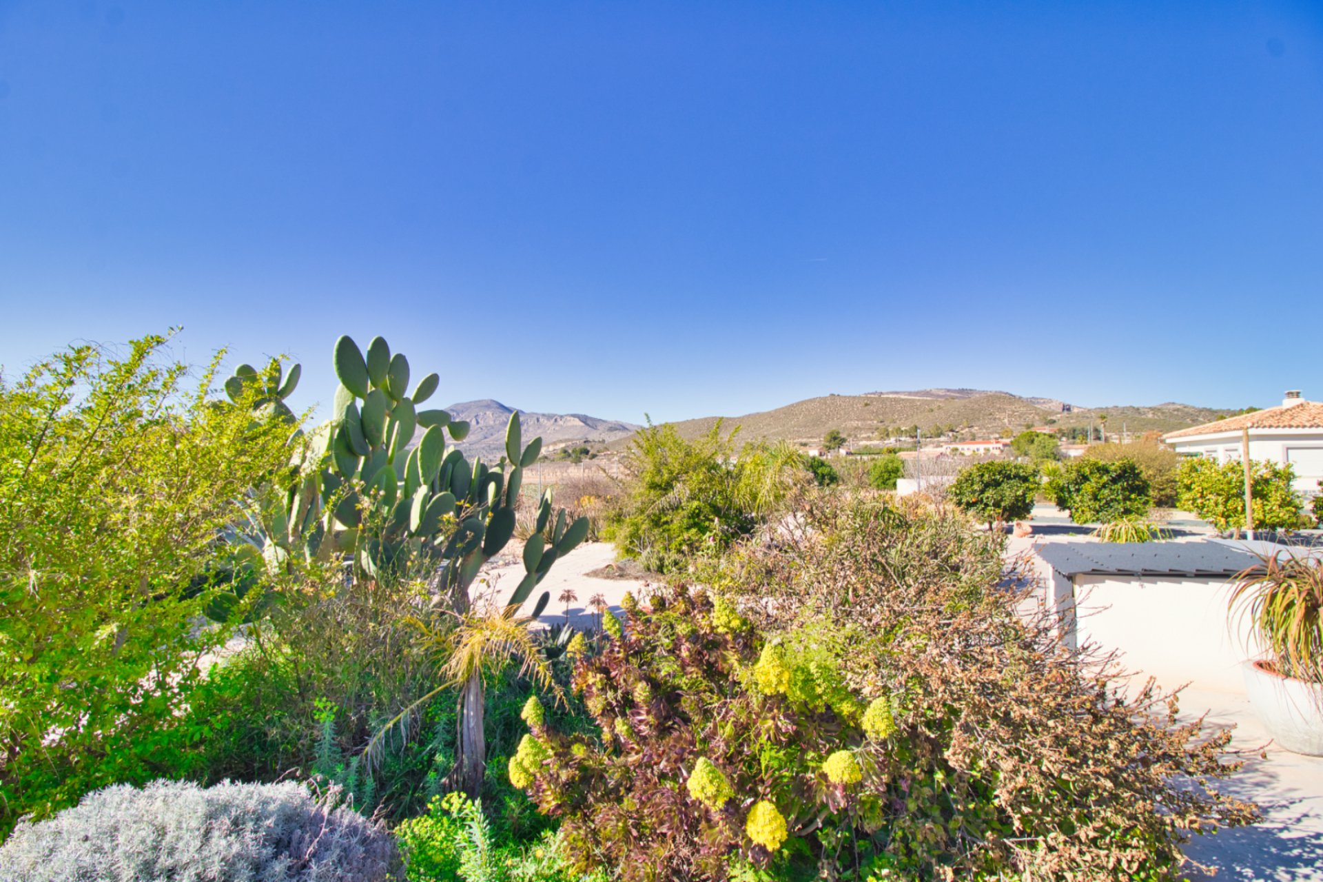 Weiterverkauf - Country house -
Hondon De Las Nieves