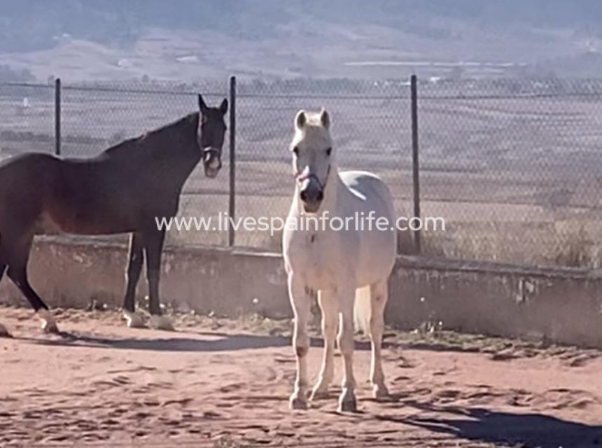 Weiterverkauf - Country house -
Jumilla - Torre del Rico