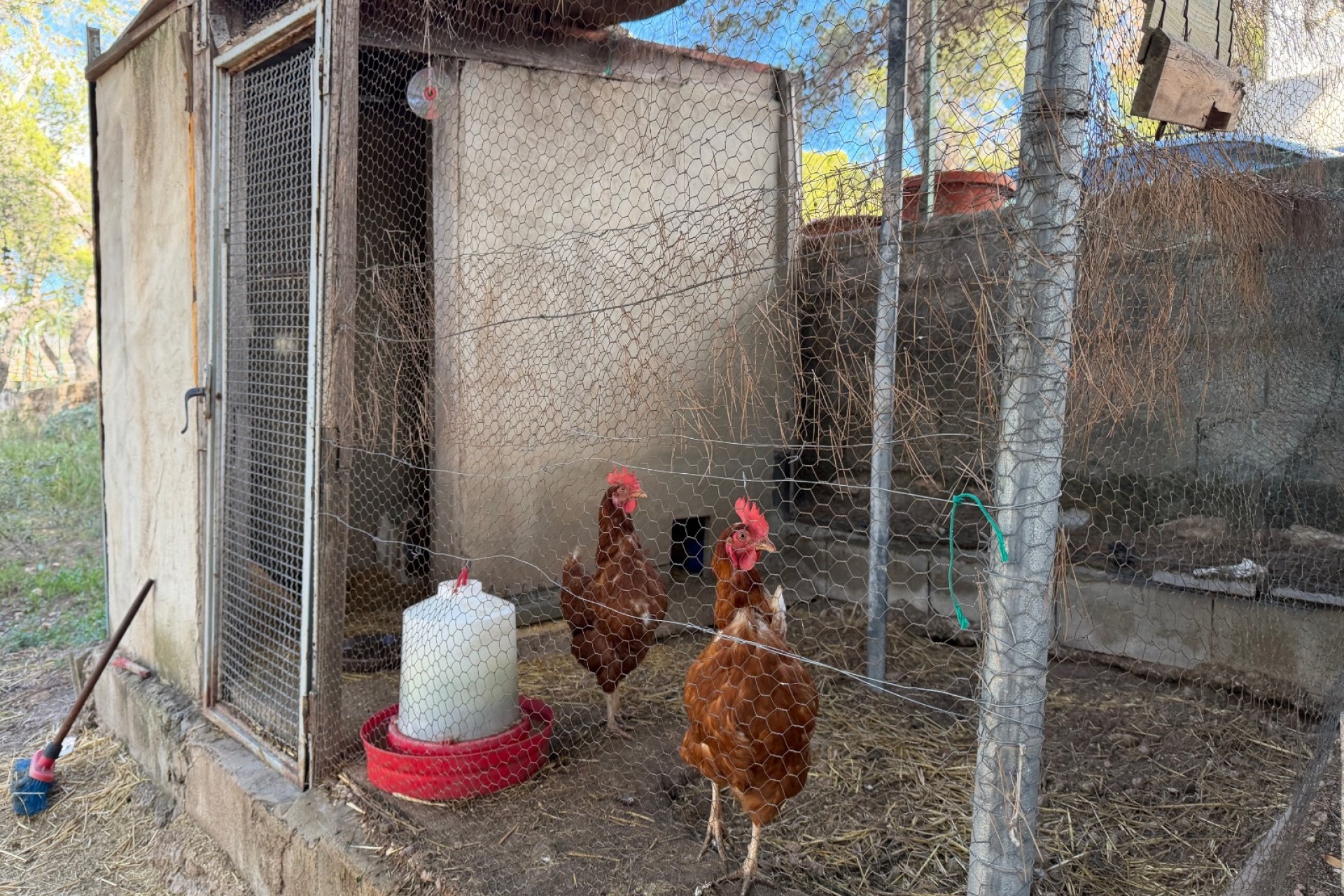 Weiterverkauf - Country house -
La Romana