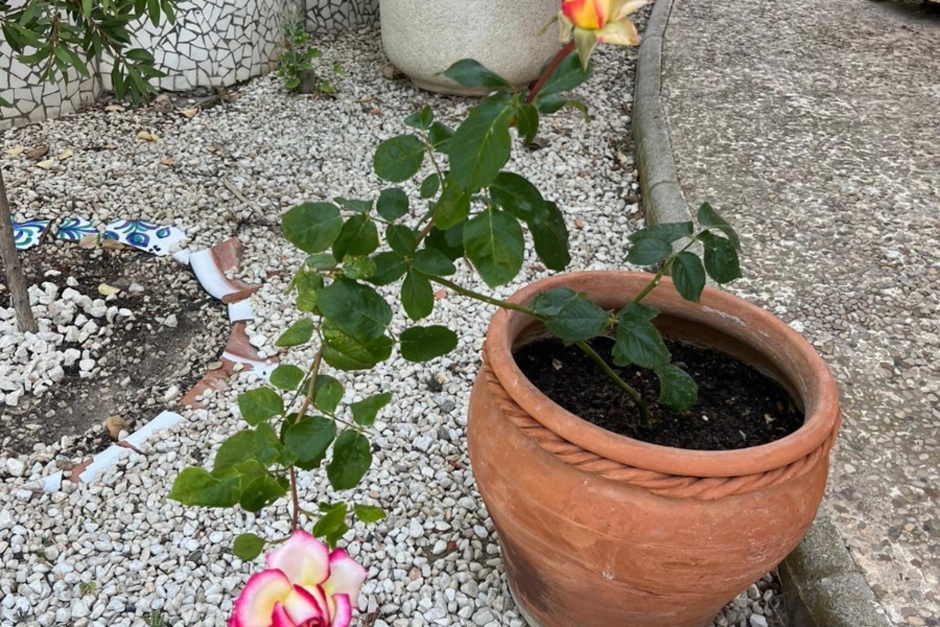 Weiterverkauf - Country house -
Monforte Del Cid - Alenda Golf