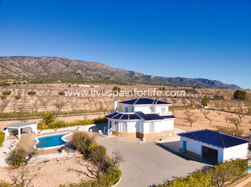 Weiterverkauf - Country house -
Pinoso