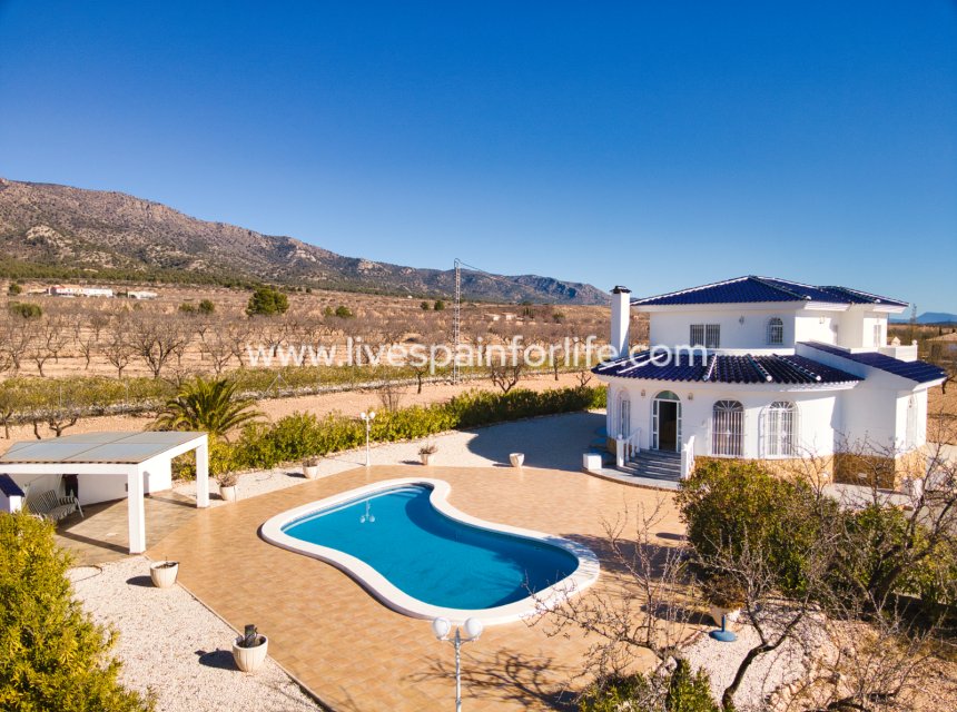 Weiterverkauf - Country house -
Pinoso