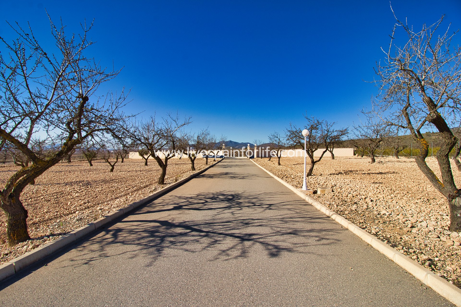 Weiterverkauf - Country house -
Pinoso