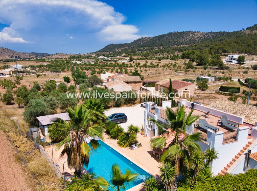 Weiterverkauf - Country house -
Pinoso