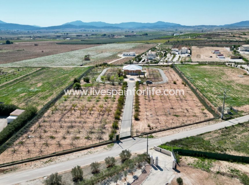 Weiterverkauf - Country house -
Pinoso