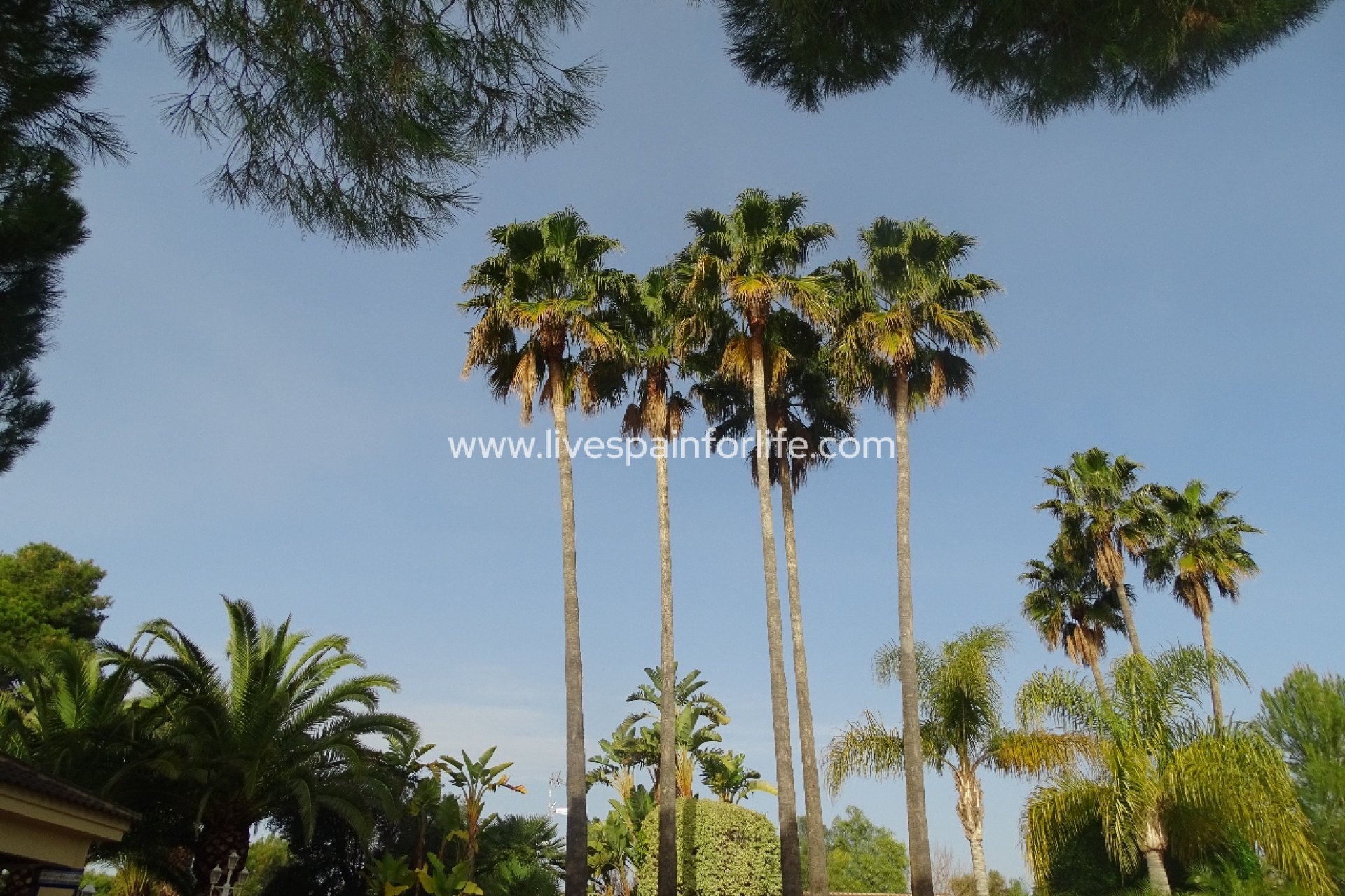 Weiterverkauf - Country house -
Santa Pola