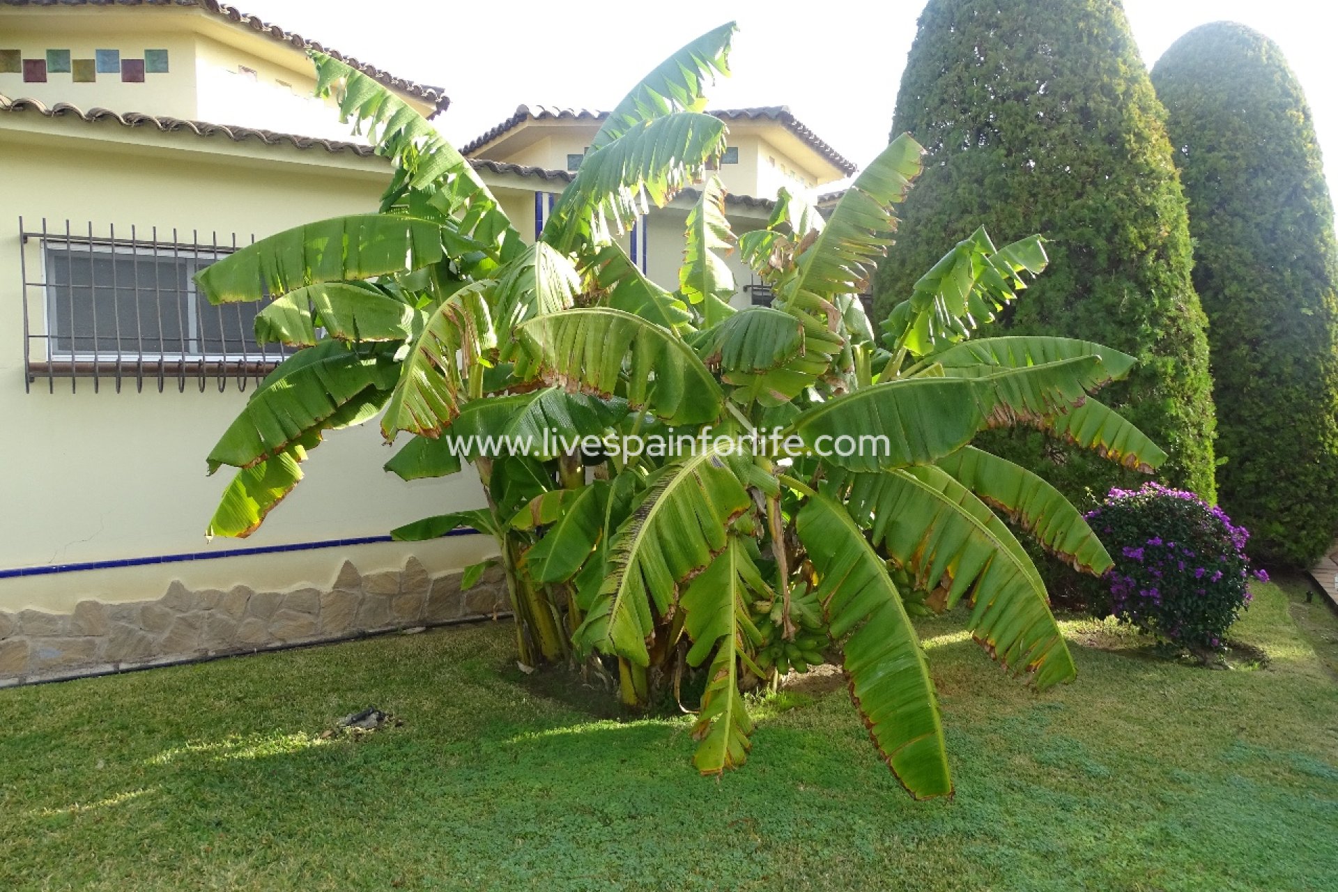 Weiterverkauf - Country house -
Santa Pola