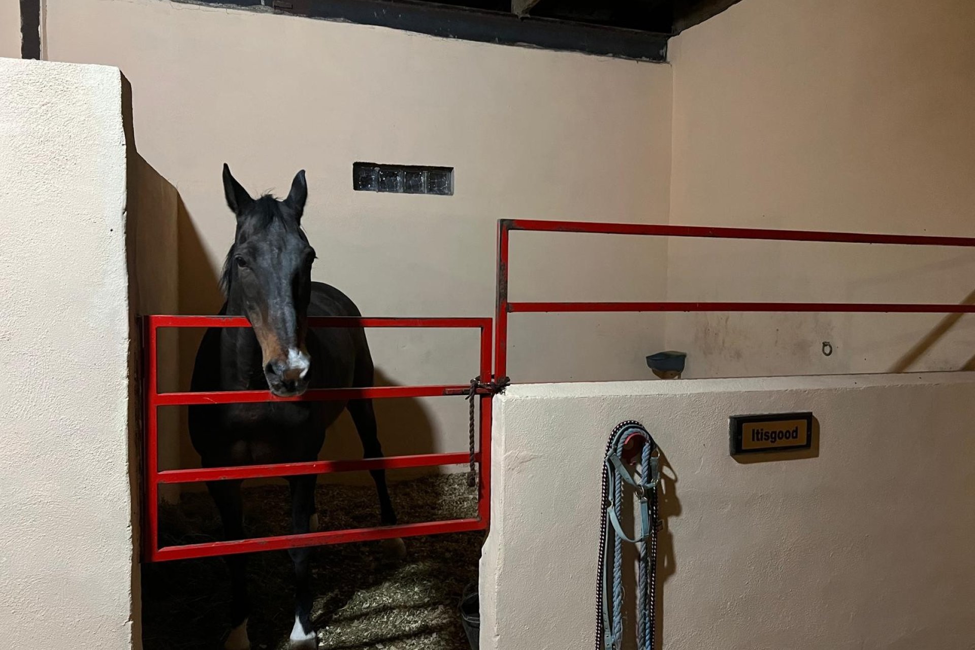 Weiterverkauf - Equestrian -
Jumilla - Torre del Rico