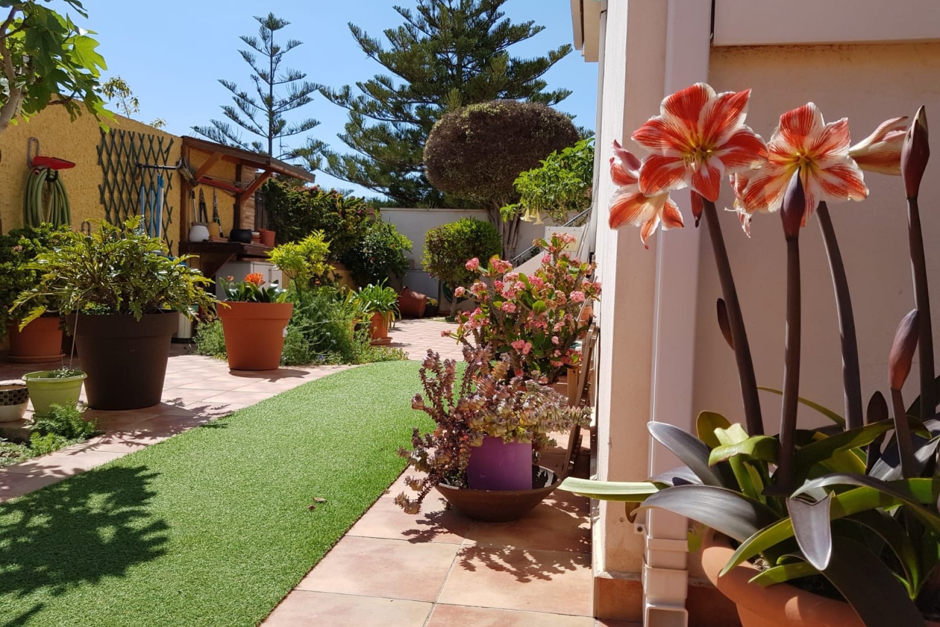 Weiterverkauf - Semi-detached house / Quad -
San Javier - Santiago de la Ribera