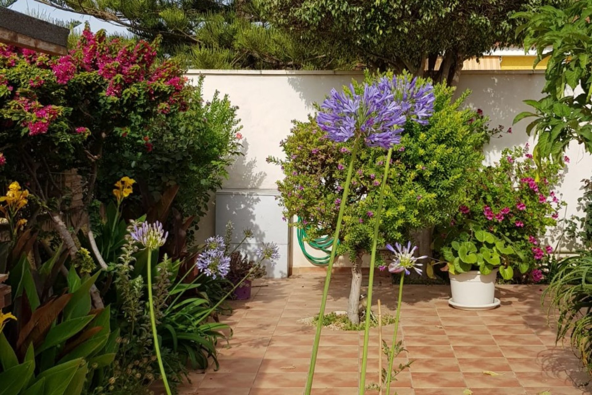 Weiterverkauf - Semi-detached house / Quad -
San Javier - Santiago de la Ribera