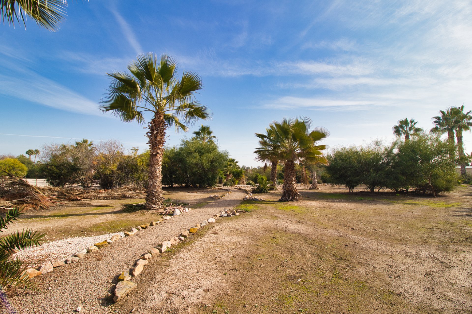 Weiterverkauf - Villa (freistehende) -
Catral