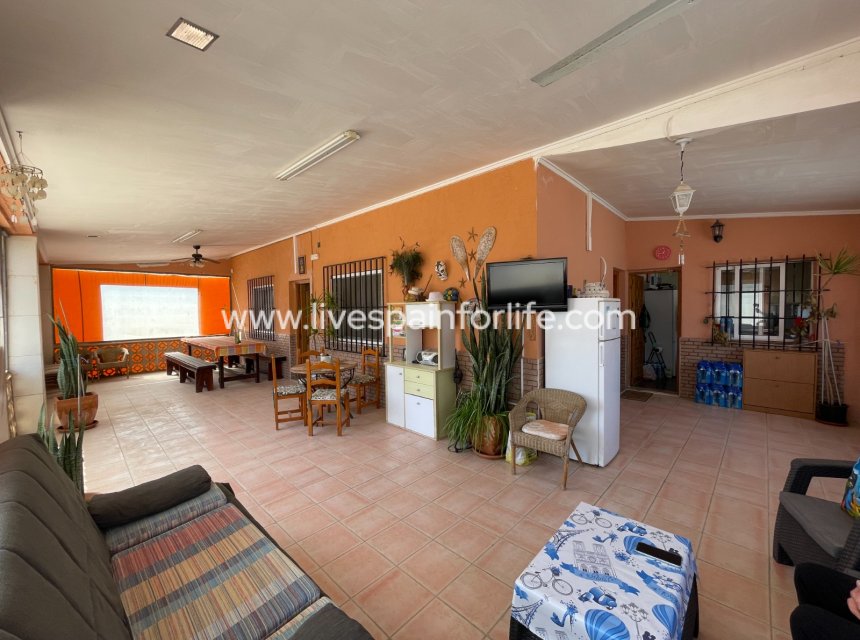 Weiterverkauf - Villa (freistehende) -
Guardamar del Segura - Valencian Community