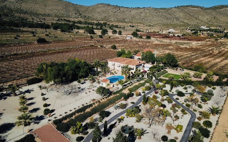 HOW TO SET UP B&B – CAMPING – HOTEL IN RUSTIC LAND AREAS