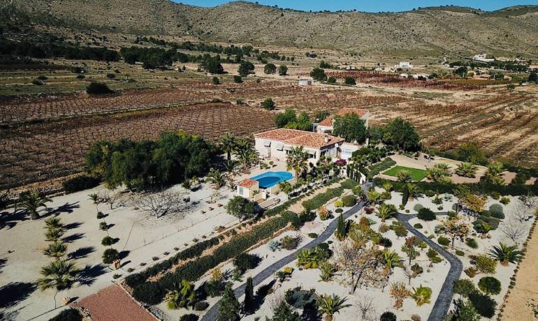 HOW TO SET UP B&B – CAMPING – HOTEL IN RUSTIC LAND AREAS