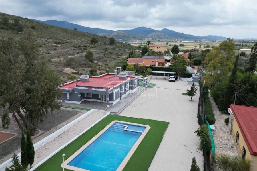 Revente - Villa (indépendant) - Hondon De Las Nieves