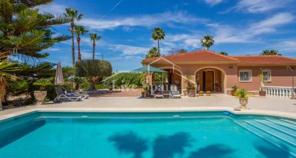 Country Property - Resale - Daya Vieja - Daya Vieja